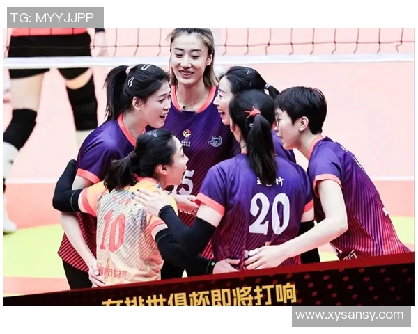 独家解读杭州排球队实力对比及未来发展潜力分析