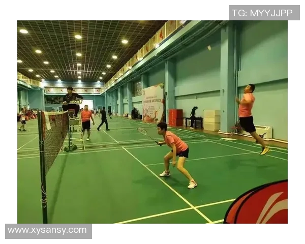 羽毛球传奇王磊的职业生涯回顾与未来展望对话