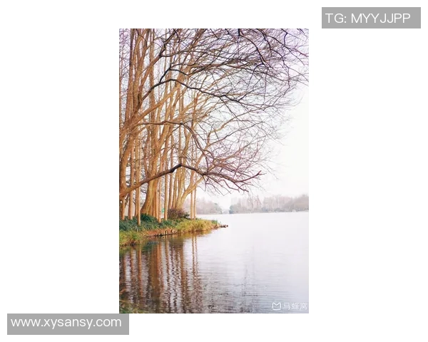 《探寻四季变迁与自然生态的和谐共生从春夏秋冬看季节对生活的深远影响》